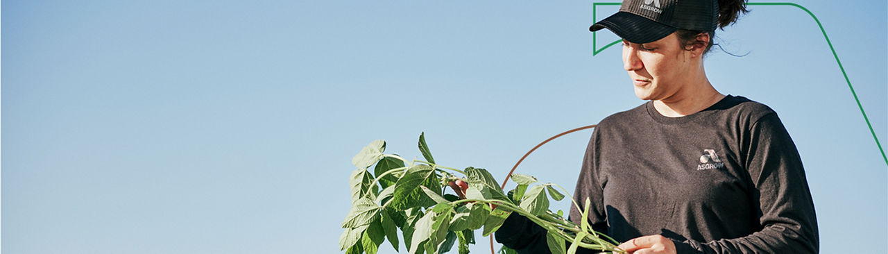 A woman holding soybean plants