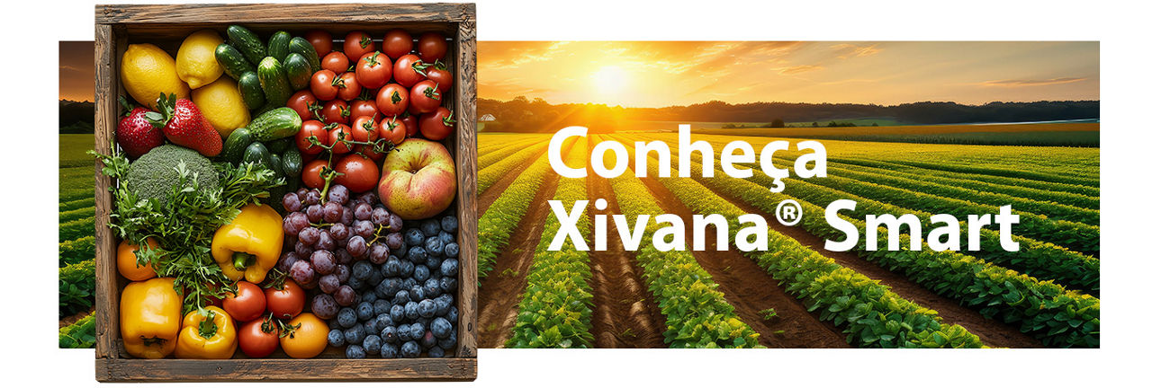 Conheça Xivana Smart
