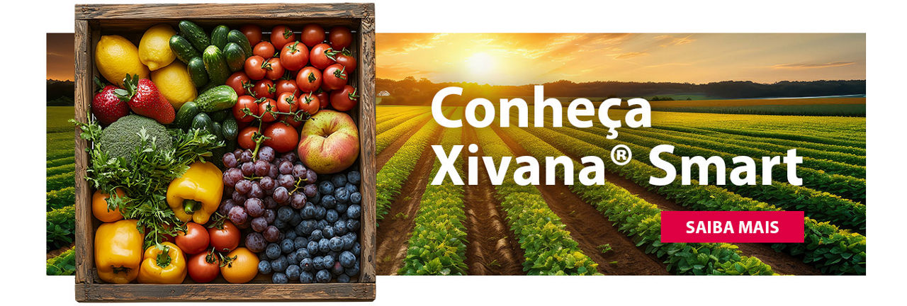 Cesta de frutas e hortaliças frescas com campo ao fundo ao pôr do sol. Texto: Conheça Xivana Smart.