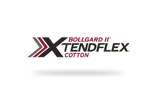 Bollgard 2 XtendFlex Cotton