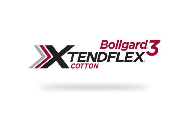 Bollgard 3 XtendFlex Cotton