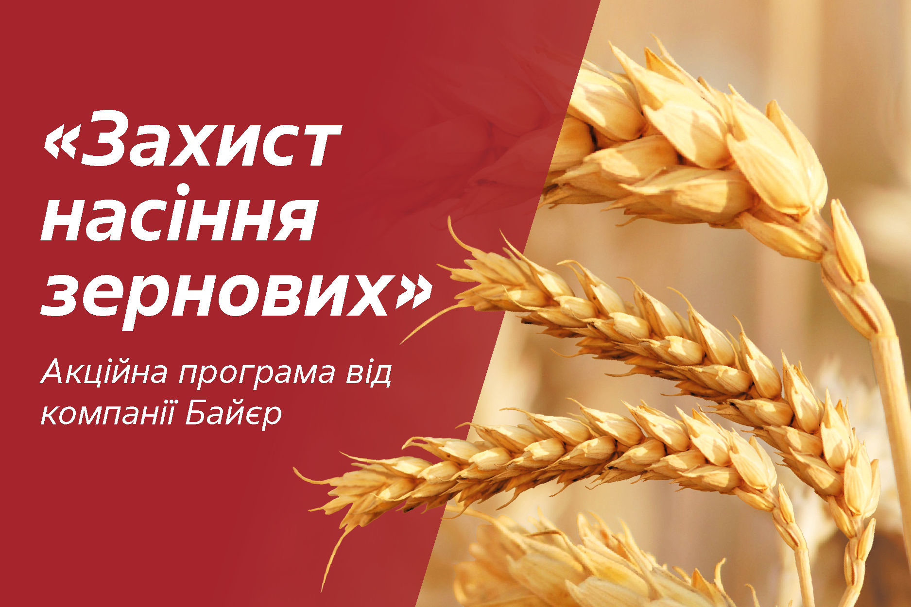 zakhyst-nasinnia-zernovykh-2026_Rich_Text_Editor_1.jpg