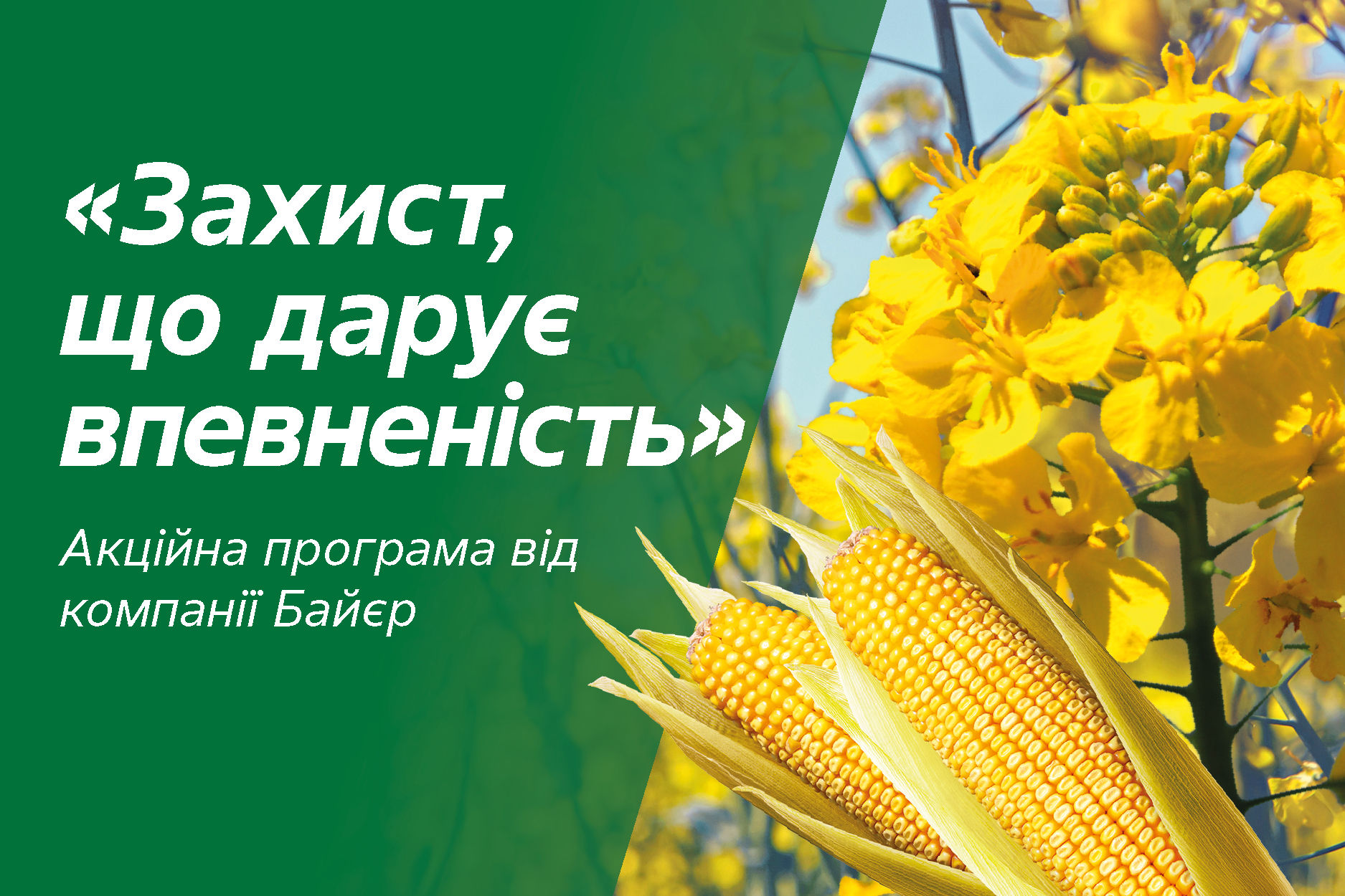 zakhyst-shcho-daruie-vpevnenist_Rich_Text_Editor_1.jpg