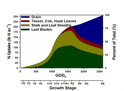 Total corn N uptake and partitioning across four plant stover fractions: leaf, stalk, reproductive, and grain tissue. 